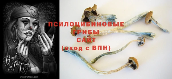 спиды Горно-Алтайск