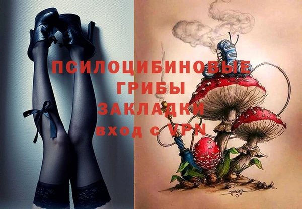 спиды Горно-Алтайск