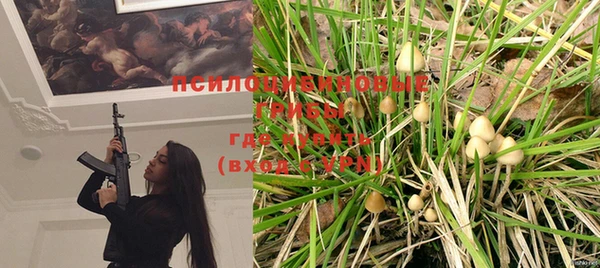 бутират Горняк