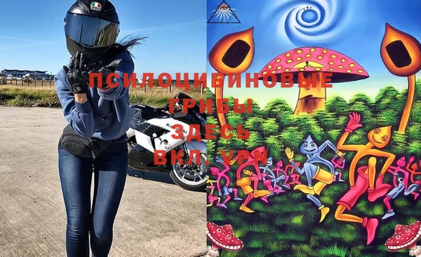 бутират Горняк